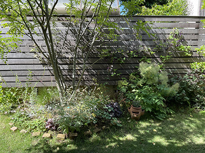 ウッドフェンスつる性植物