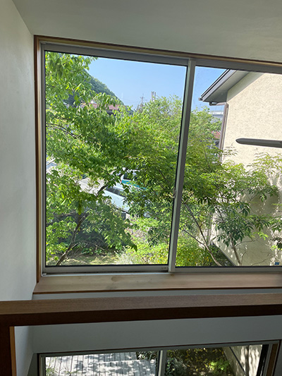 2皆の窓から見える樹木
