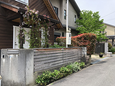 グリーンのカーテン