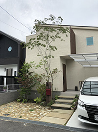 庭大きな木