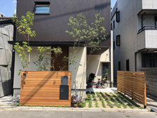 大きな樹木庭