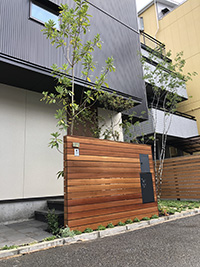 ハードウッド門柱　大きな木