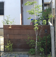 堅木門柱　大きな木