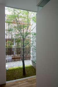 中庭植木