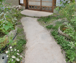 土アプローチ