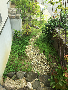 石小道