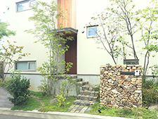 雑木の庭