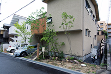 雑木の庭