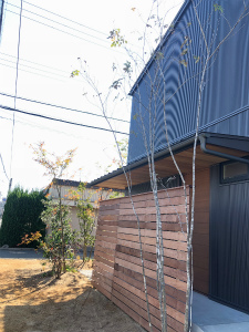 目隠しハードウッドフェンス