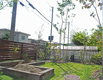 家庭菜園