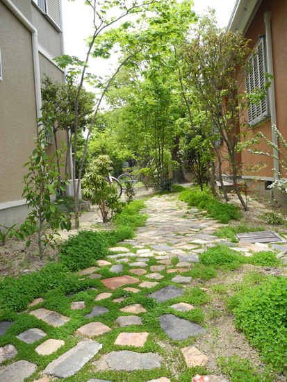 雑木の庭
